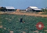 Standbild Vietcong Vietnam, 1970, aus Sekunde 15 historischem Filmmaterial Videoclip 65675032667