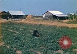 Standbild Vietcong Vietnam, 1970, aus Sekunde 16 historischem Filmmaterial Videoclip 65675032667