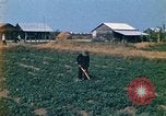 Standbild Vietcong Vietnam, 1970, aus Sekunde 17 historischem Filmmaterial Videoclip 65675032667