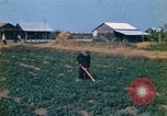 Standbild Vietcong Vietnam, 1970, aus Sekunde 18 historischem Filmmaterial Videoclip 65675032667