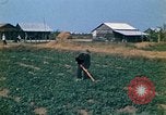 Standbild Vietcong Vietnam, 1970, aus Sekunde 20 historischem Filmmaterial Videoclip 65675032667