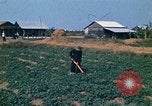 Standbild Vietcong Vietnam, 1970, aus Sekunde 24 historischem Filmmaterial Videoclip 65675032667