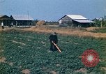 Standbild Vietcong Vietnam, 1970, aus Sekunde 25 historischem Filmmaterial Videoclip 65675032667