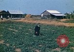 Standbild Vietcong Vietnam, 1970, aus Sekunde 26 historischem Filmmaterial Videoclip 65675032667
