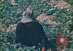 Standbild Vietcong Vietnam, 1970, aus Sekunde 37 historischem Filmmaterial Videoclip 65675032667