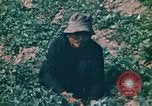 Standbild Vietcong Vietnam, 1970, aus Sekunde 41 historischem Filmmaterial Videoclip 65675032667