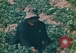 Standbild Vietcong Vietnam, 1970, aus Sekunde 42 historischem Filmmaterial Videoclip 65675032667