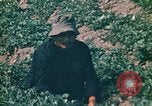 Standbild Vietcong Vietnam, 1970, aus Sekunde 43 historischem Filmmaterial Videoclip 65675032667