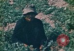 Standbild Vietcong Vietnam, 1970, aus Sekunde 45 historischem Filmmaterial Videoclip 65675032667