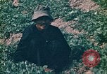 Standbild Vietcong Vietnam, 1970, aus Sekunde 46 historischem Filmmaterial Videoclip 65675032667