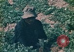 Standbild Vietcong Vietnam, 1970, aus Sekunde 47 historischem Filmmaterial Videoclip 65675032667