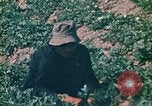 Standbild Vietcong Vietnam, 1970, aus Sekunde 49 historischem Filmmaterial Videoclip 65675032667
