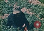 Standbild Vietcong Vietnam, 1970, aus Sekunde 50 historischem Filmmaterial Videoclip 65675032667