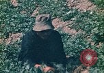 Standbild Vietcong Vietnam, 1970, aus Sekunde 53 historischem Filmmaterial Videoclip 65675032667
