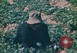 Standbild Vietcong Vietnam, 1970, aus Sekunde 54 historischem Filmmaterial Videoclip 65675032667