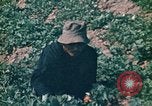 Standbild Vietcong Vietnam, 1970, aus Sekunde 55 historischem Filmmaterial Videoclip 65675032667