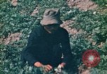 Standbild Vietcong Vietnam, 1970, aus Sekunde 56 historischem Filmmaterial Videoclip 65675032667