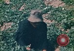 Standbild Vietcong Vietnam, 1970, aus Sekunde 57 historischem Filmmaterial Videoclip 65675032667