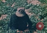 Standbild Vietcong Vietnam, 1970, aus Sekunde 58 historischem Filmmaterial Videoclip 65675032667