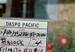 Image of Viet Cong Vietnam, 1970, second 46 stock footage video 65675032669