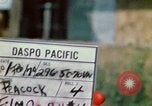 Image of Viet Cong Vietnam, 1970, second 47 stock footage video 65675032669