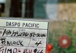 Image of Viet Cong Vietnam, 1970, second 48 stock footage video 65675032669