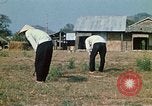 Image of Viet Cong Vietnam, 1970, second 51 stock footage video 65675032669