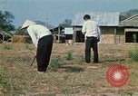 Image of Viet Cong Vietnam, 1970, second 52 stock footage video 65675032669