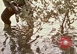 Standbild Vietcong Vietnam, 1970, aus Sekunde 37 historischem Filmmaterial Videoclip 65675032670