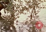 Standbild Vietcong Vietnam, 1970, aus Sekunde 38 historischem Filmmaterial Videoclip 65675032670