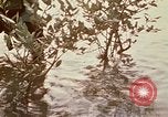 Standbild Vietcong Vietnam, 1970, aus Sekunde 39 historischem Filmmaterial Videoclip 65675032670