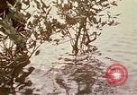 Standbild Vietcong Vietnam, 1970, aus Sekunde 40 historischem Filmmaterial Videoclip 65675032670
