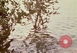 Standbild Vietcong Vietnam, 1970, aus Sekunde 41 historischem Filmmaterial Videoclip 65675032670