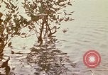 Standbild Vietcong Vietnam, 1970, aus Sekunde 42 historischem Filmmaterial Videoclip 65675032670