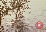 Standbild Vietcong Vietnam, 1970, aus Sekunde 43 historischem Filmmaterial Videoclip 65675032670