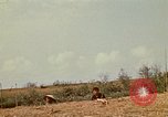 Standbild Vietcong Vietnam, 1970, aus Sekunde 55 historischem Filmmaterial Videoclip 65675032670