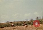 Standbild Vietcong Vietnam, 1970, aus Sekunde 57 historischem Filmmaterial Videoclip 65675032670
