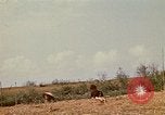 Standbild Vietcong Vietnam, 1970, aus Sekunde 59 historischem Filmmaterial Videoclip 65675032670
