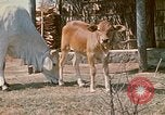 Image of villagers Vietnam, 1970, second 10 stock footage video 65675032671