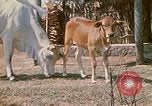 Image of villagers Vietnam, 1970, second 12 stock footage video 65675032671