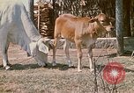 Image of villagers Vietnam, 1970, second 13 stock footage video 65675032671