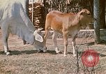 Image of villagers Vietnam, 1970, second 14 stock footage video 65675032671