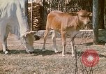 Image of villagers Vietnam, 1970, second 16 stock footage video 65675032671