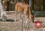 Image of villagers Vietnam, 1970, second 22 stock footage video 65675032671