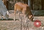 Image of villagers Vietnam, 1970, second 23 stock footage video 65675032671