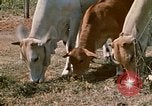Image of villagers Vietnam, 1970, second 30 stock footage video 65675032671