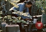 Image of villagers Vietnam, 1970, second 34 stock footage video 65675032671