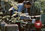 Image of villagers Vietnam, 1970, second 35 stock footage video 65675032671