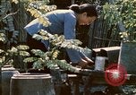 Image of villagers Vietnam, 1970, second 37 stock footage video 65675032671