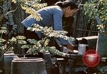 Image of villagers Vietnam, 1970, second 40 stock footage video 65675032671